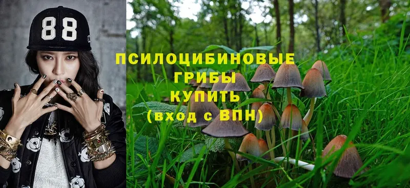 Галлюциногенные грибы Psilocybine cubensis  Алупка 